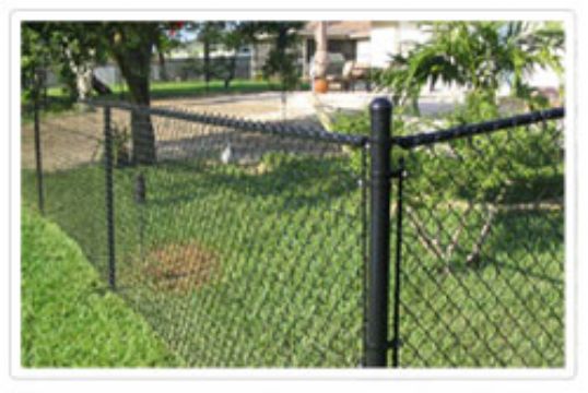 Chain Link Fence